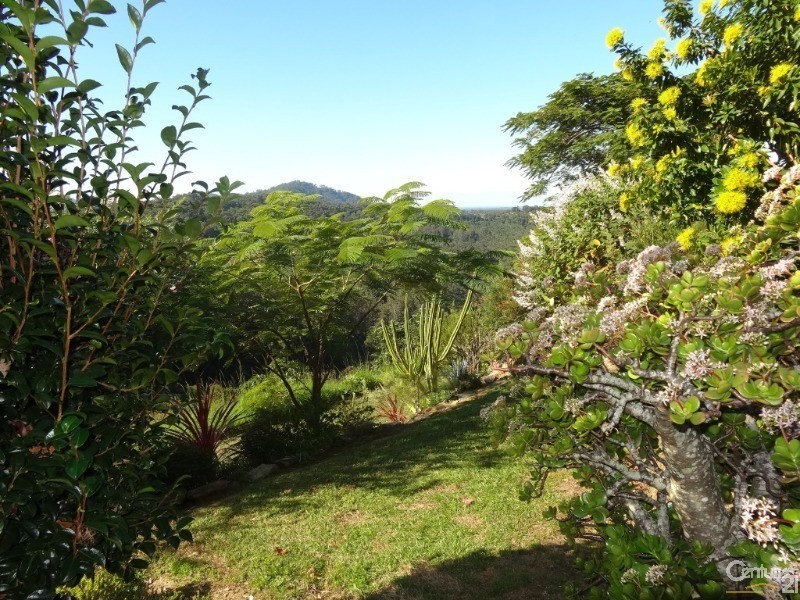 161 Richards Road, Newee Creek NSW 2447