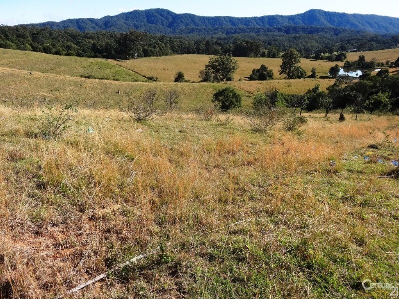 532-657 Newee Creek Road, Valla NSW 2448