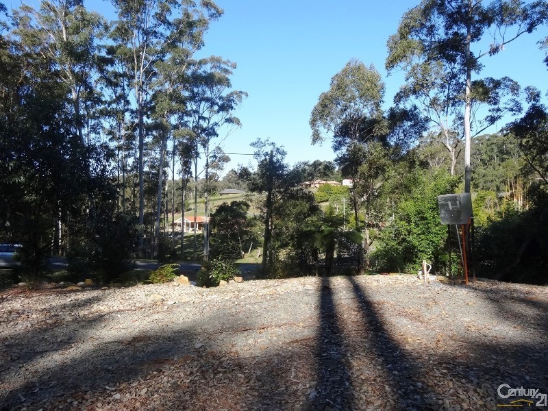 39 Joeliza Drive, Repton NSW 2454