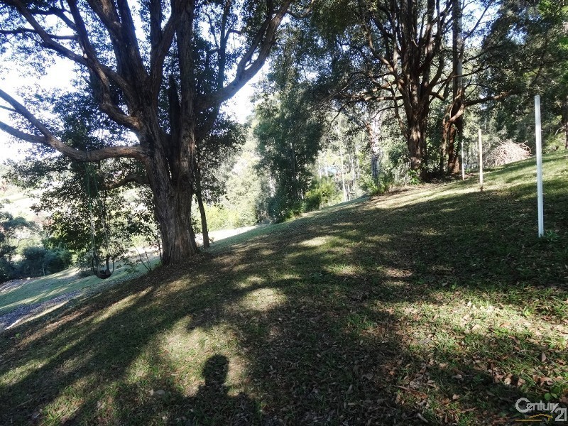 39 Joeliza Drive, Repton NSW 2454