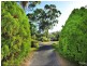 31 Gaudrons Road, Sapphire Beach NSW 2450