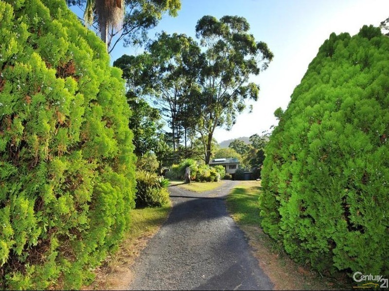 31 Gaudrons Road, Sapphire Beach NSW 2450