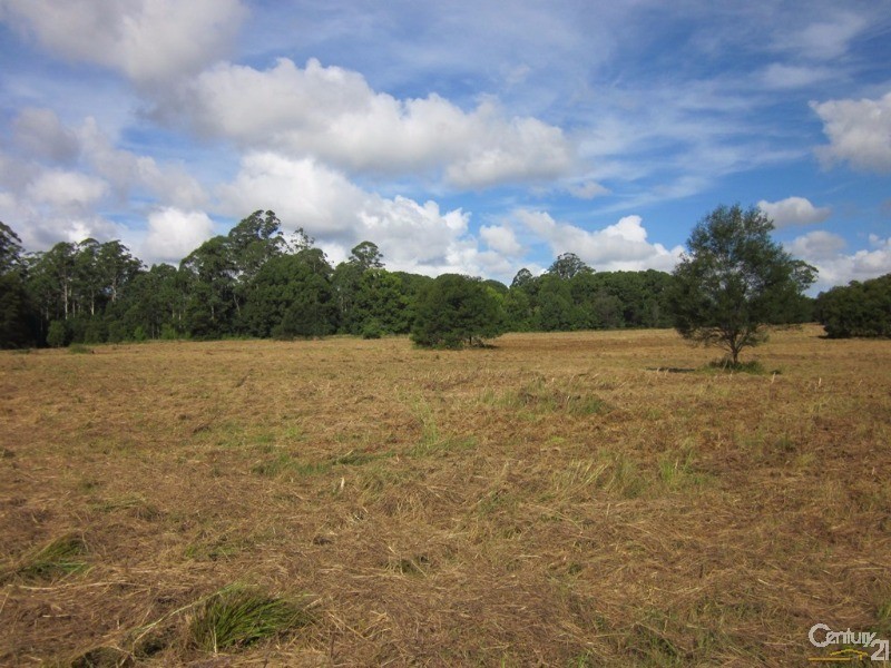 Bucca NSW 2450