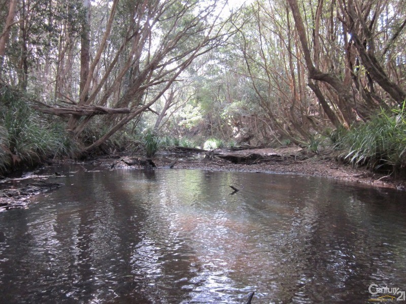 Bucca NSW 2450