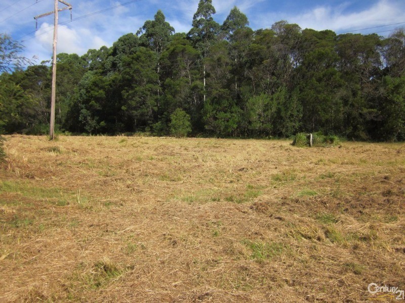 Bucca NSW 2450