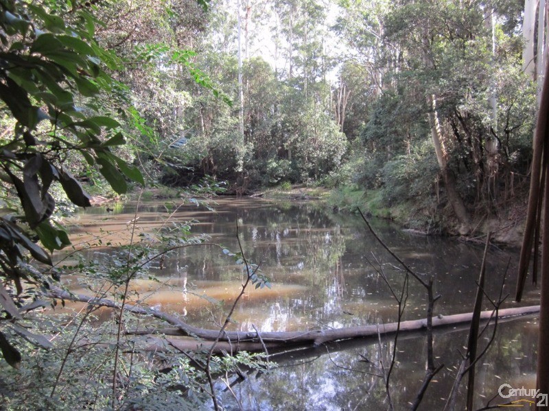 Bucca NSW 2450