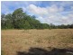 Bucca NSW 2450