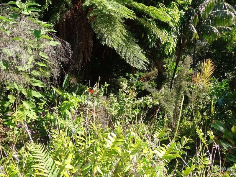 104 Sawtell Road, Toormina NSW 2452