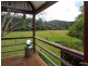 510 Dairyville Road, Upper Orara NSW 2450