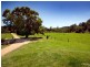 64 Rigney Drive, Bellingen NSW 2454