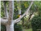 21 Gillibri Crescent, Sawtell NSW 2452