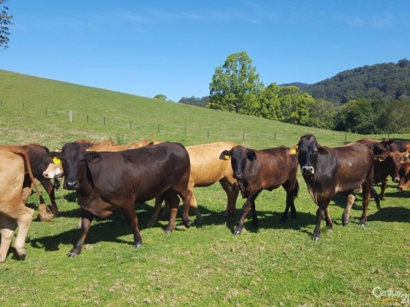 Upper Orara NSW 2450