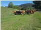 Upper Orara NSW 2450