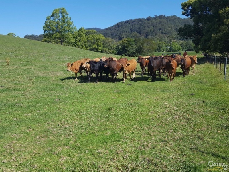 Upper Orara NSW 2450