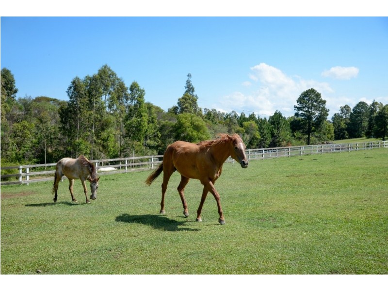 36 Gould Road, Bonville NSW 2441