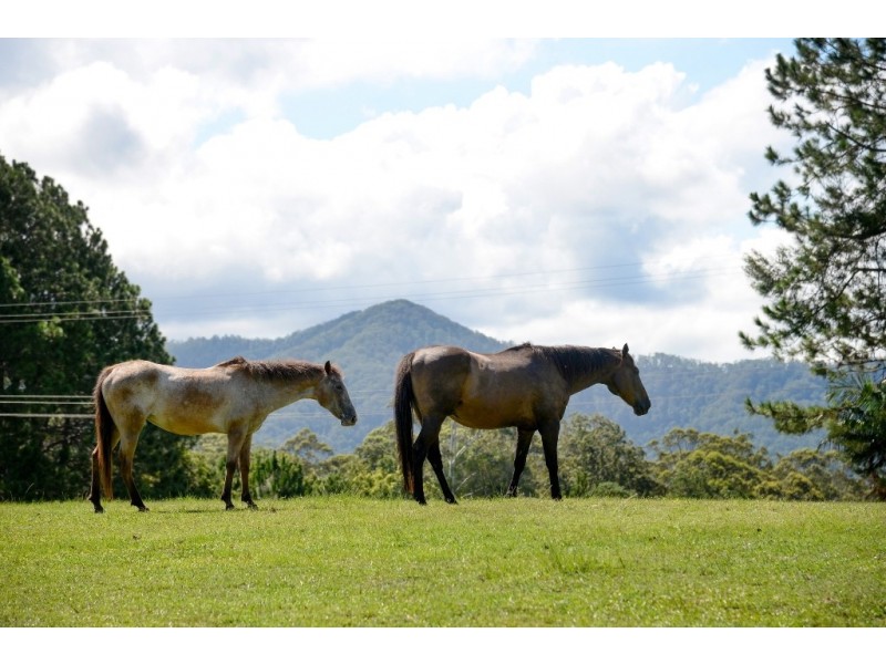 36 Gould Road, Bonville NSW 2441