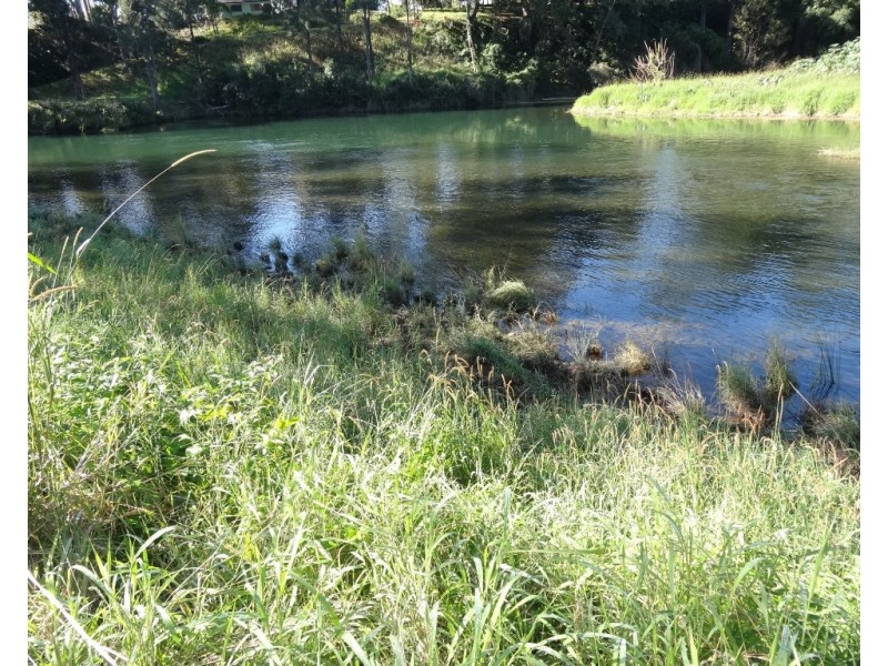 219 Summerville Road-Thora, Bellingen NSW 2454