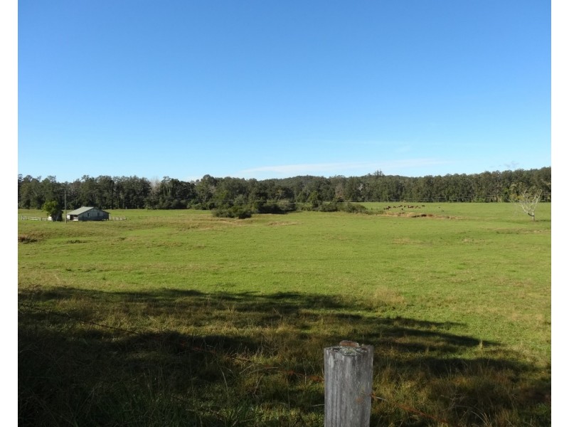 219 Summerville Road-Thora, Bellingen NSW 2454