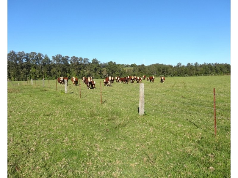 219 Summerville Road-Thora, Bellingen NSW 2454