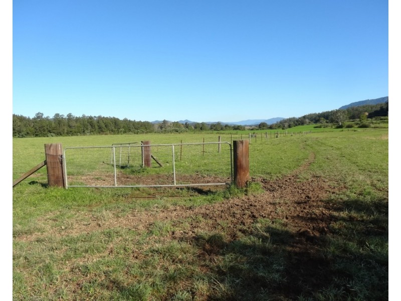 219 Summerville Road-Thora, Bellingen NSW 2454