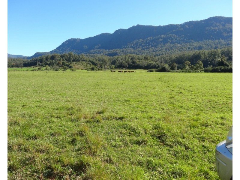 219 Summerville Road-Thora, Bellingen NSW 2454