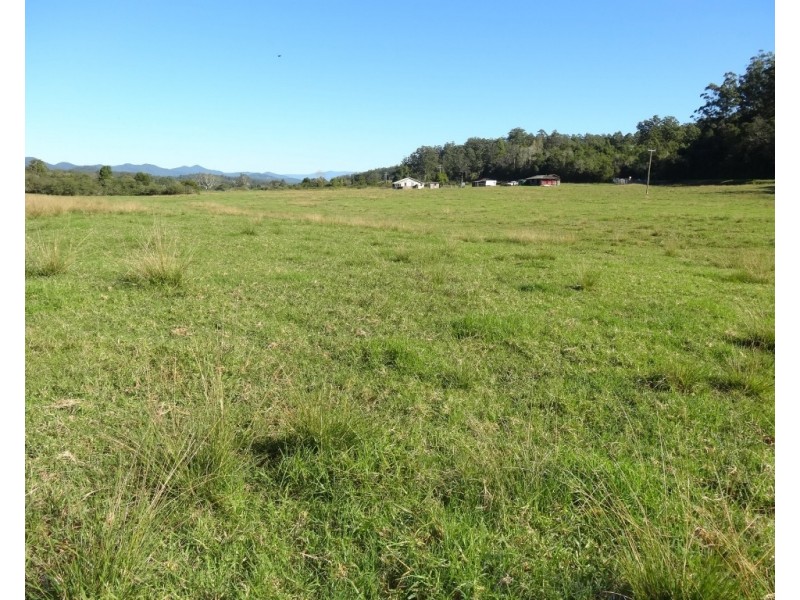 219 Summerville Road-Thora, Bellingen NSW 2454