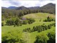 Bellingen NSW 2454