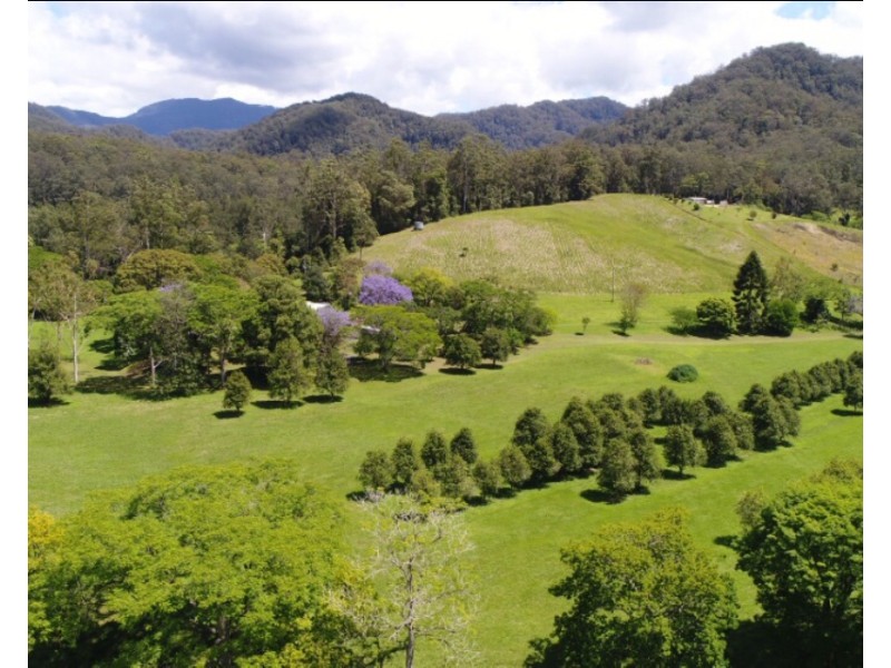 Bellingen NSW 2454