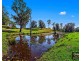 389 Martells Road, Bellingen NSW 2454
