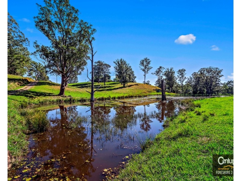 389 Martells Road, Bellingen NSW 2454