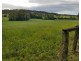 Newee Creek NSW 2447