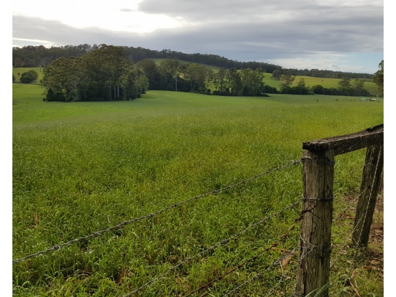 Newee Creek NSW 2447