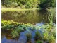 532 Newee Creek Road, Valla NSW 2448