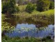 532 Newee Creek Road, Valla NSW 2448