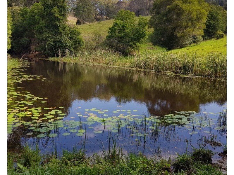532 Newee Creek Road, Valla NSW 2448
