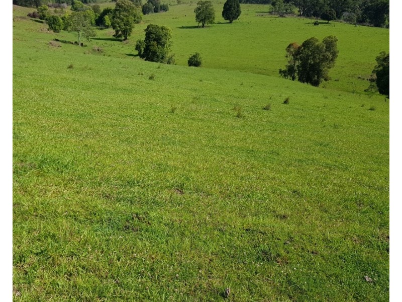532 Newee Creek Road, Valla NSW 2448