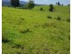 532 Newee Creek Road, Valla NSW 2448