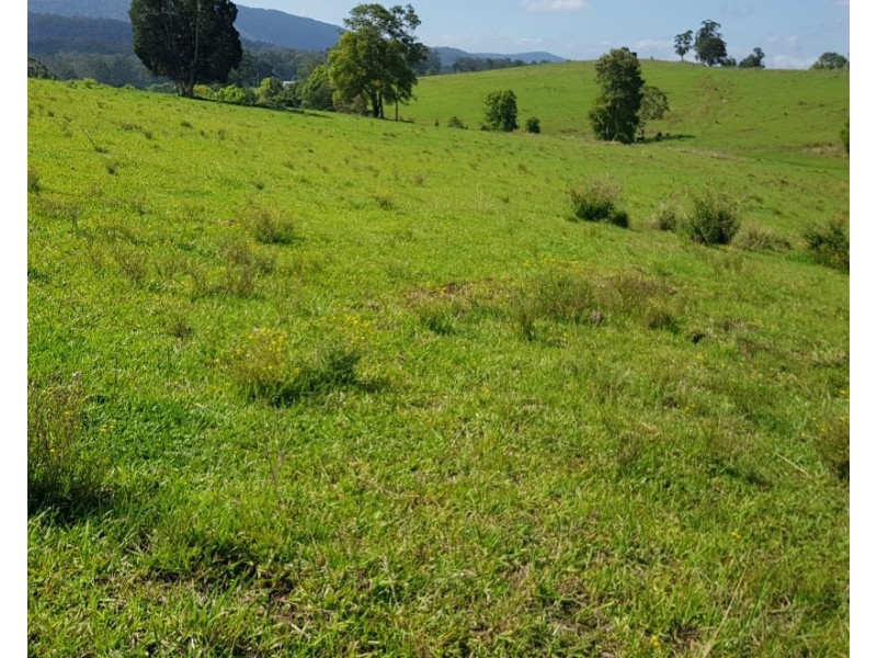 532 Newee Creek Road, Valla NSW 2448