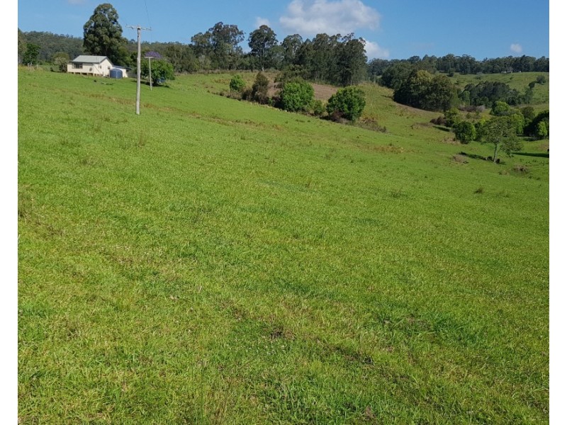 532 Newee Creek Road, Valla NSW 2448