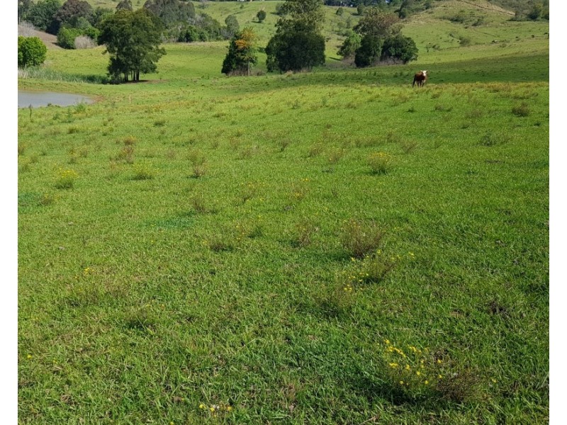532 Newee Creek Road, Valla NSW 2448