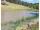 532 Newee Creek Road, Valla NSW 2448