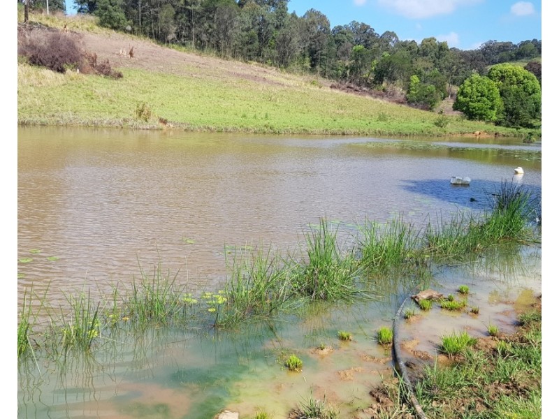 532 Newee Creek Road, Valla NSW 2448