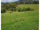 532 Newee Creek Road, Valla NSW 2448