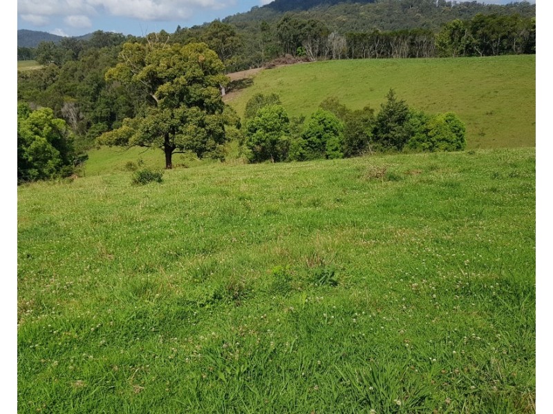 532 Newee Creek Road, Valla NSW 2448