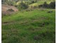 532 Newee Creek Road, Valla NSW 2448