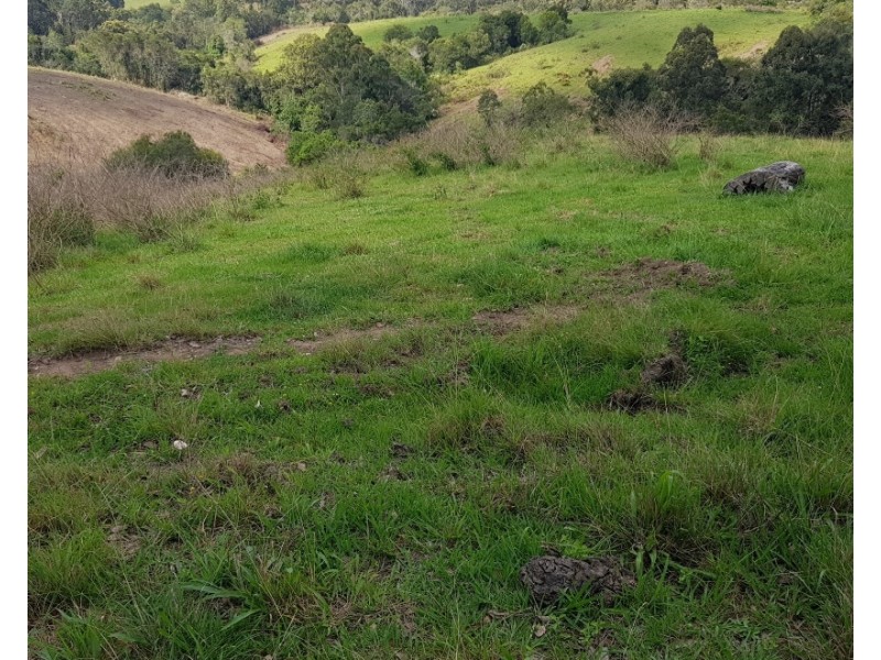 532 Newee Creek Road, Valla NSW 2448