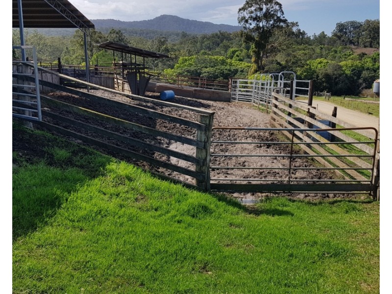 657 Newee Creek Road, Valla NSW 2448