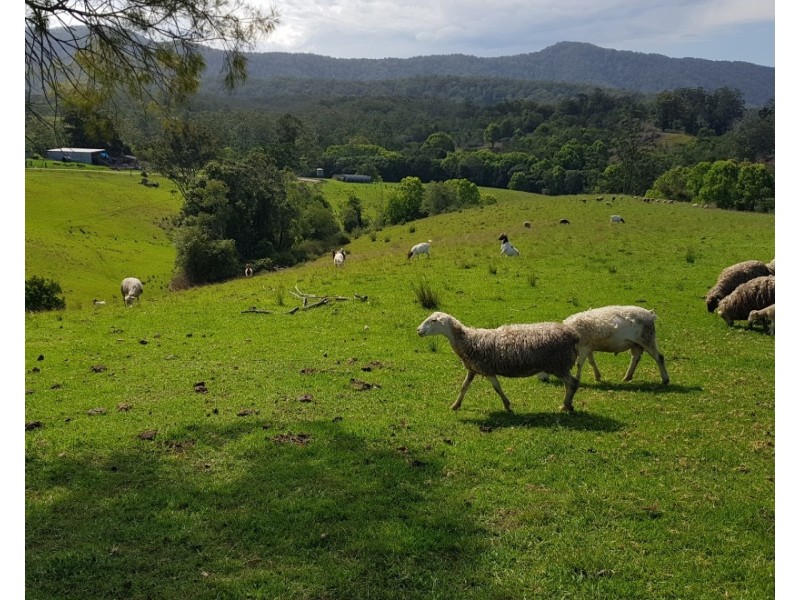 657 Newee Creek Road, Valla NSW 2448