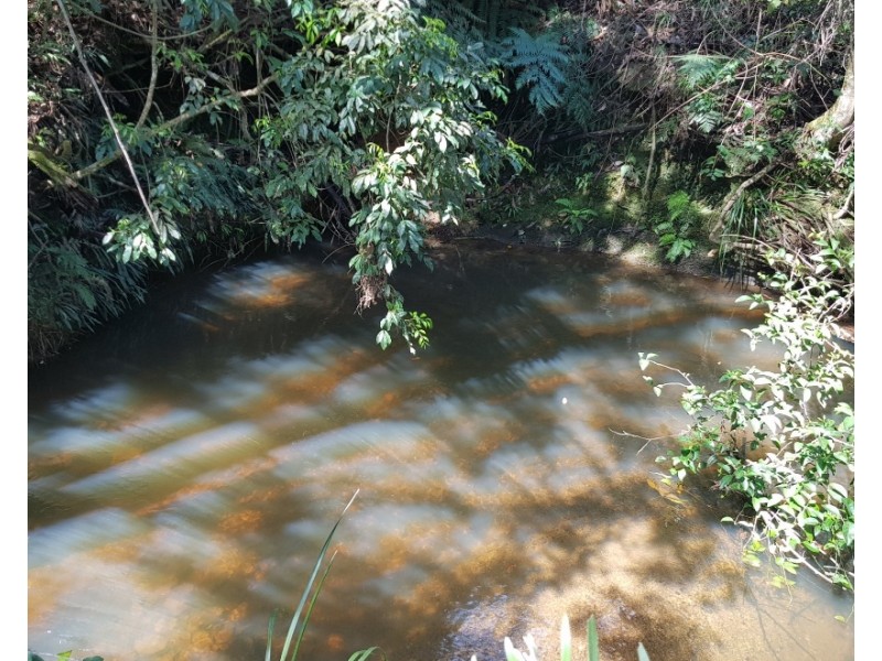 657 Newee Creek Road, Valla NSW 2448