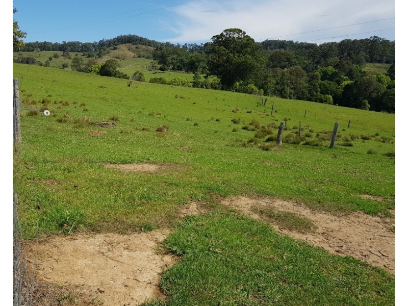 657 Newee Creek Road, Valla NSW 2448